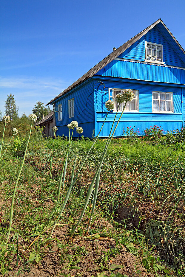 Abbildung eines blauen Hauses